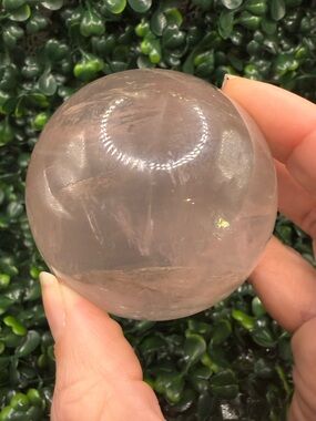Stunning Star Girasol Rose Quartz Sphere 60mm